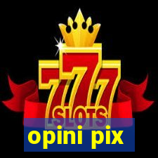 opini pix